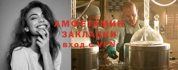 шишки Абаза