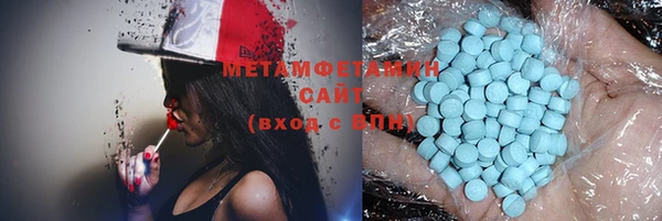 шишки Абаза