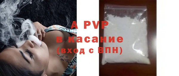 шишки Абаза