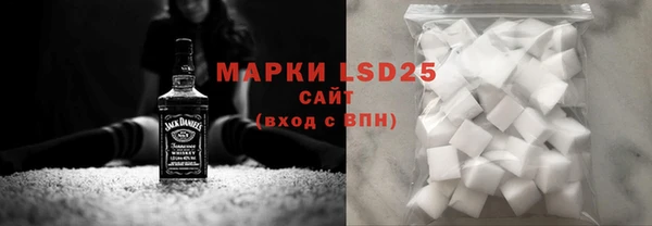 шишки Абаза
