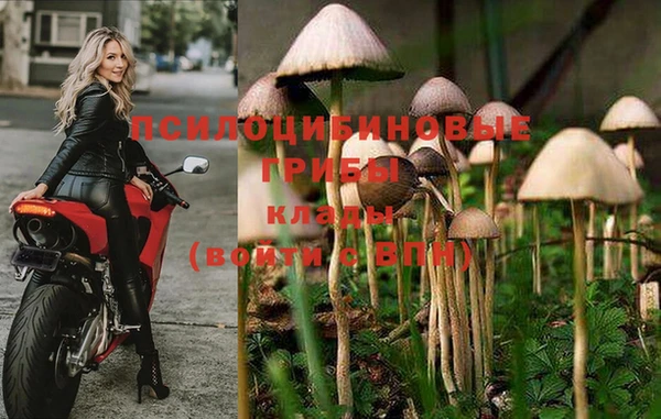 метадон Абинск