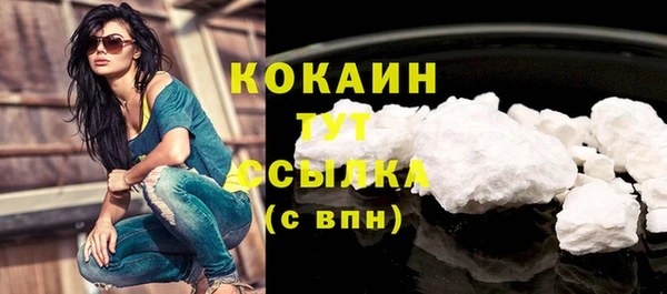 шишки Абаза