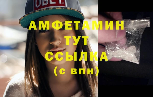шишки Абаза