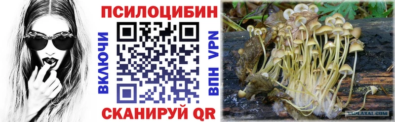 Псилоцибиновые грибы Cubensis  omg ONION  Щёкино 